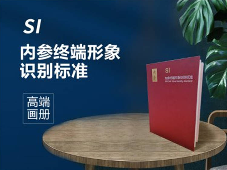 內參 高端企業形象畫冊